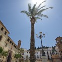 Plaza del Coso Viejo de Antequera Plaza del Coso Viejo de Antequera