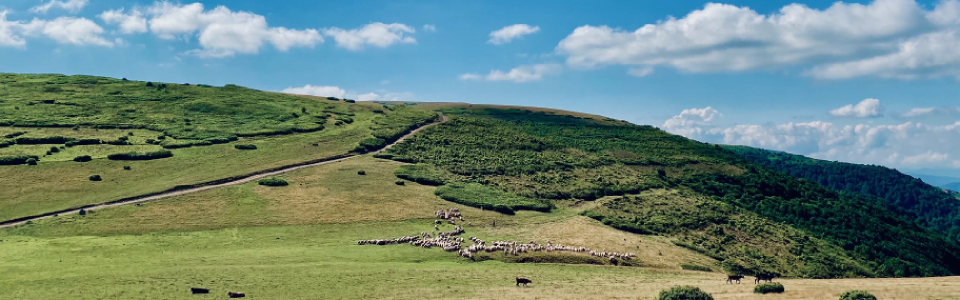 Rural lodgings