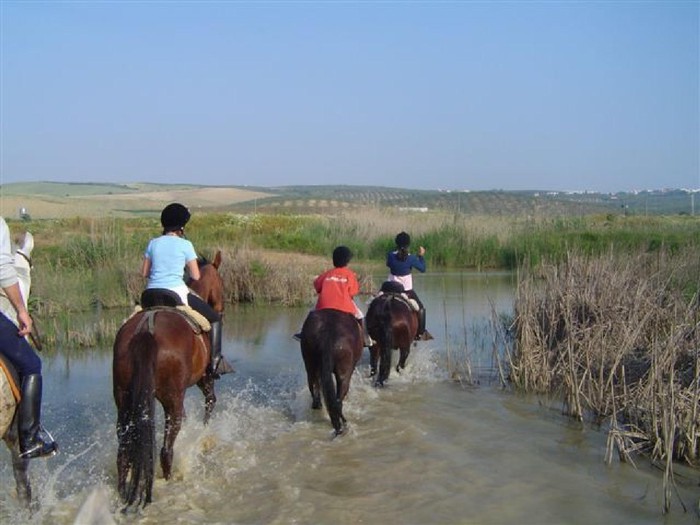 Randonnée à cheval à Antequera par Guadalhorce