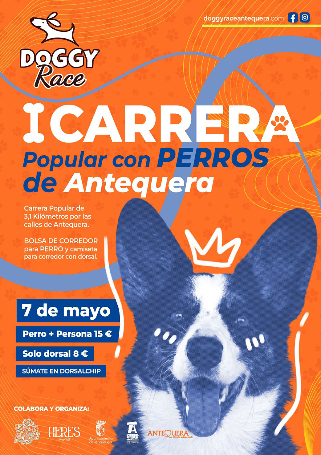 I Volksrennen mit Hunden von Antequera