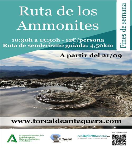 Ruta de los Ammonites