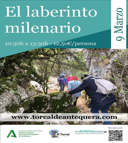 Imagen de El laberinto milenario