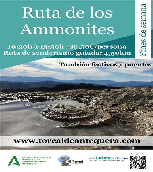 Imagen de Ruta de los Ammonites