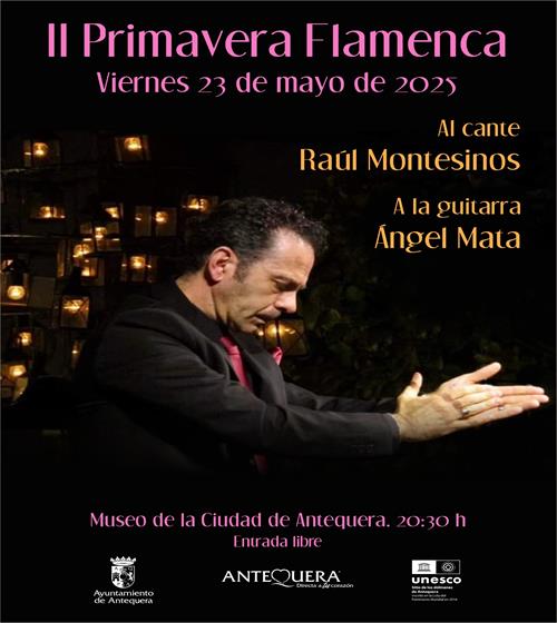 Imagen de II Primavera Flamenca