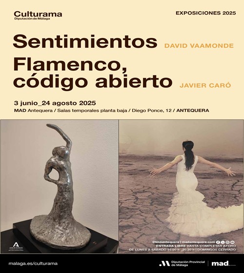 Foto de Exposiciones Sentimientos y Flamenco, código abierto